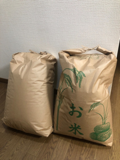 〔取り引き決定　新米〕令和6年産　まっしぐら　玄米　30キロ×2袋