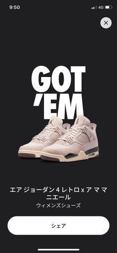 アママニエールAJ4