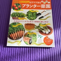 1000円以下でできるプランター菜園