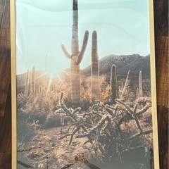 インテリアポスター（額付）