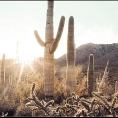 インテリアポスター（額付）