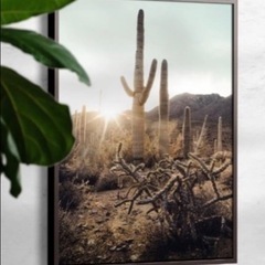 インテリアポスター（額付）