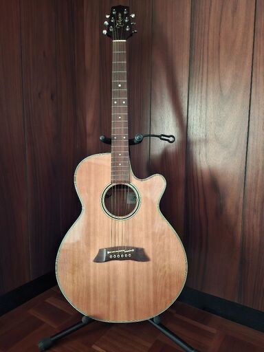 Takamine　ギター　pt106 N