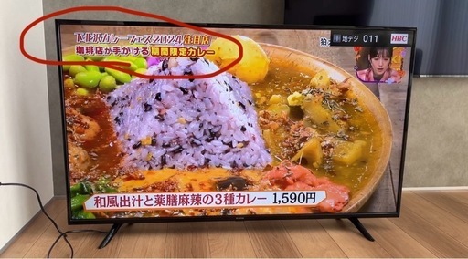 55ub10p アイリスオーヤマ55インチテレビ