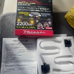 売れました イベント観賞用に！ウィザードナンバーカバーフロント当時  