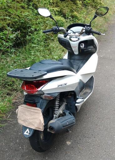 PCX125 白 (No.2249)