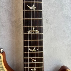 PRS Custom 24 CORE エレキギター ハードケース