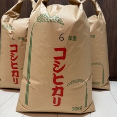 令和6年9月収穫したて新米 郡上産コシヒカリ - 食品 