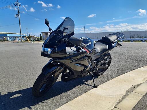 その他 Kawasaki NINJA250R\nEX250K - A202