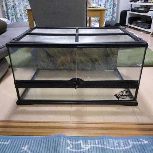 爬虫類ケージ