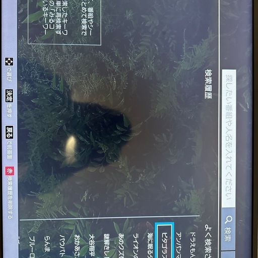 東芝液晶テレビ