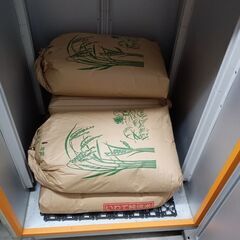 キヌヒカリ玄米一袋３０Kg（２０２４年９月収穫）￥13,000円...