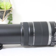 Canon Zoom Lens EF-S 55-250mm 1:4-5.6 IS 望遠レンズ 美品✨