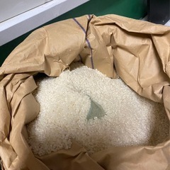 新米30キロ　コシヒカリ