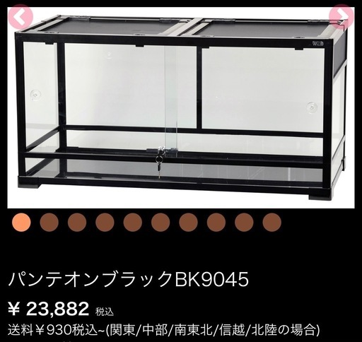爬虫類パンテオン9045