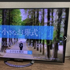 SONY 55インチ　テレビ
