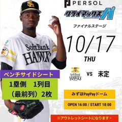 10/6 クライマックス ネット裏 通路側 ペア 10/6 クライマックス ネット裏 通路側 ペア