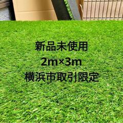 お得240枚+おまけ分セット☆敷いて1ヶ月くらい☆成長期の芝生