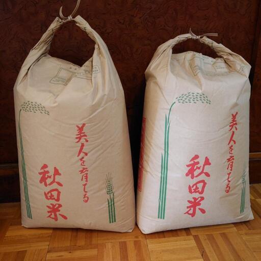 ひとめぼれ令和5年度米