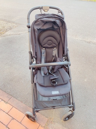 2022年 サイベックス サイベックス】LIBELLE(リベル