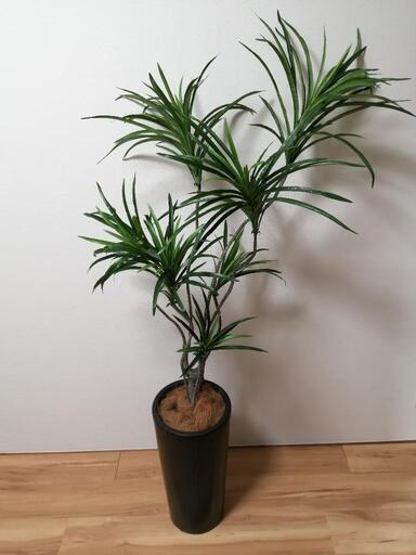 大型 フェイクグリーン 美品 約160cm