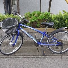 愛品館八千代店】アサヒ セドナ 22インチジュニア自転車【愛八JT】