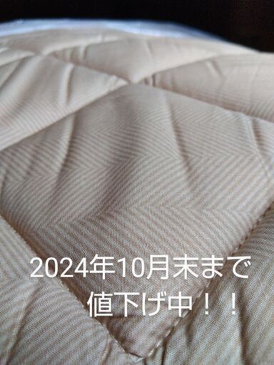 【未使用】CELINEこたつ敷き