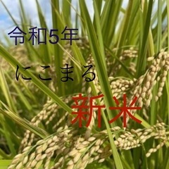 令和5年度　米　玄米🌾🌾京都産10kg         　　「に...