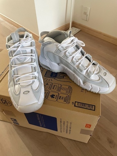 使用期間2日！AIRMAX Penny