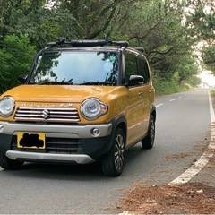 ハスラー引退品(サーフィン、キャンプ、アウトドア)