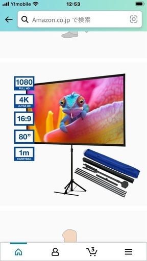 新品未開封自宅保管EPSON 80㌅モバイルスクリーンxタイプ ELPSC21B