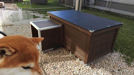中型犬向け　大きな穴ぐらタイプの犬小屋　※現状渡し