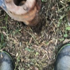 ユンボの狭いバケット