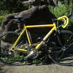 FONDRIEST イタリアンロード 実重量が約8．6キロ