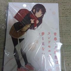 Blu-rayディスク　青春ブタ野郎シリーズ