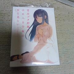 Blu-rayディスク　青春ブタ野郎シリーズ