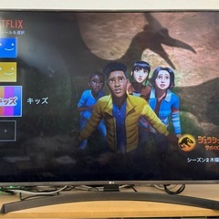 12月引取希望】55インチテレビ 2018年モデル
