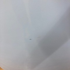 Haier全自動洗濯機売ります！
