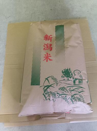 令和6年産　コシヒカリ　30kg　玄米