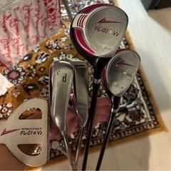 WORLD EAGLE FL-01V2 クラブセット 10本 レディース/右用 バッグ