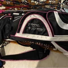 WORLD EAGLE FL-01V2 クラブセット 10本 レディース/右用 バッグ