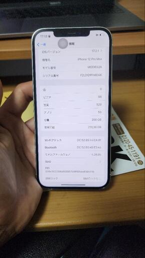 ボディケア iphone 12 pro max  256 gb