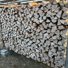 広葉樹 薪 ニセアカシア