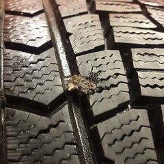 DUNLOP WINTER MAXX WM02 195/60R17 17インチ スタッドレス 4本 バリ溝 ライズ ロッキー 60プリウス レックス等　(KTN179) 