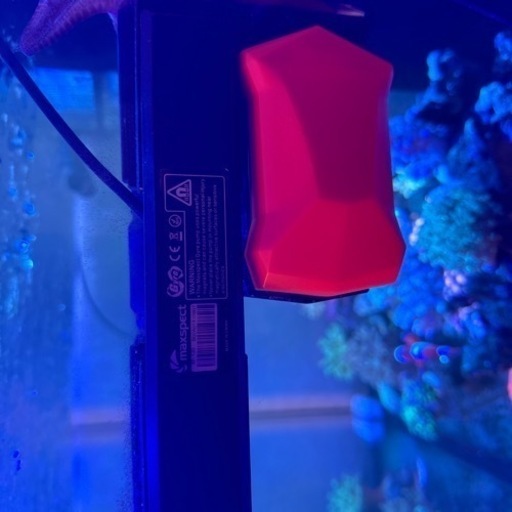 海水魚、サンゴ、ウェーブポンプ(マックススペクト)