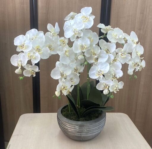 フェイク　フラワー　胡蝶蘭　高さ：72㎝　光触媒　人工観葉植物　ウォールグリーン