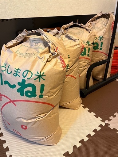 令和6年産（新米）コシヒカリ玄米30kg
