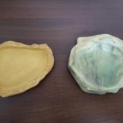 取りに来れる方限定 爬虫類•リクガメ飼育セット