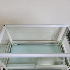 取りに来れる方限定 爬虫類•リクガメ飼育セット