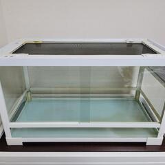 取りに来れる方限定 爬虫類•リクガメ飼育セット